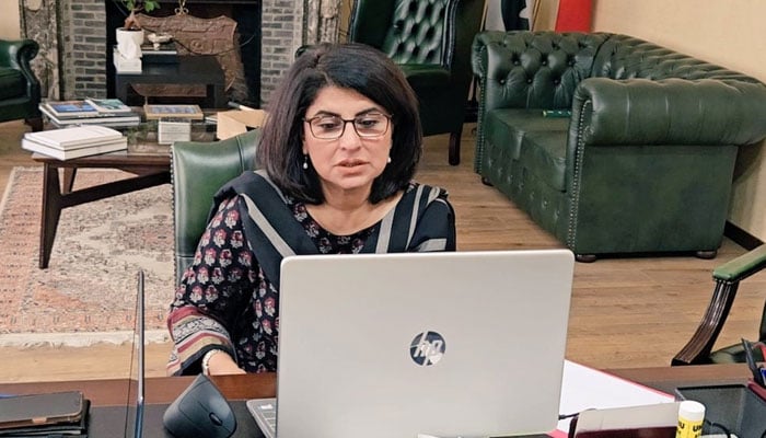 سفیر آمنہ بلوچ نے آج اپنی پہلی ماہانہ ای۔کچہری کا انعقاد کیا۔