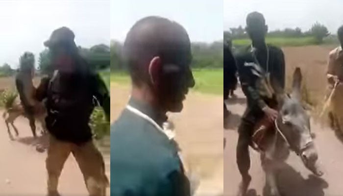 پشاور: چور کا منہ کالا کر کے گدھے پر بٹھانے پر ایس ایچ او معطل