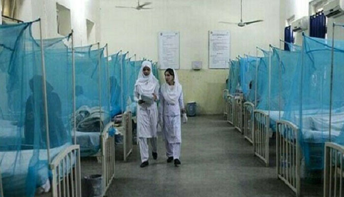پنجاب میں ڈینگی کے مزید 53 مریض رپورٹ