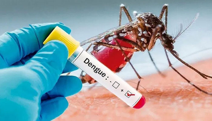 پنجاب، ڈینگی کے 82 نئے کیس رپورٹ