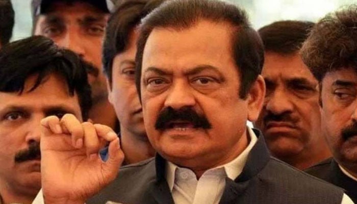 چینی برآمد کرنے کا مؤقف زرداری کا تھا، رانا ثناء