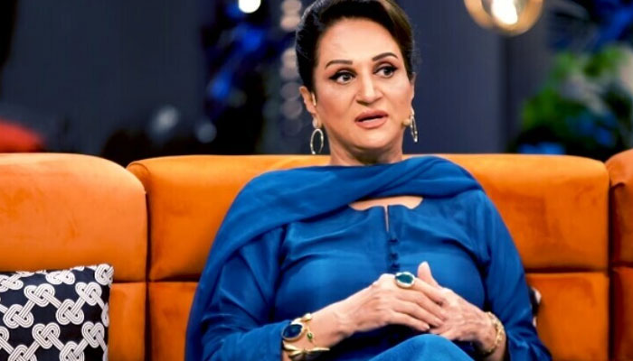 سوشل میڈیا پر کوئی بھی منہ اُٹھا کر کسی کو بھی کچھ بھی بول دیتا ہے، بشریٰ انصاری