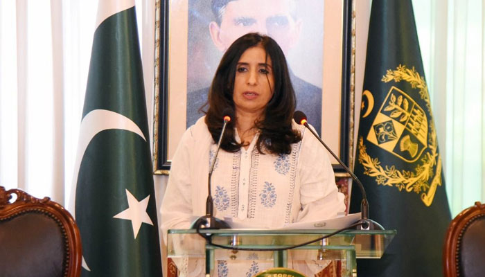 یوکرین کو پاکستانی ہتھیاروں کی فروخت کی خبر بےبنیاد ہے، دفتر خارجہ