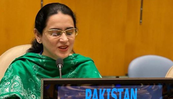آزادی کی تحریک دہشت گردی نہیں، صائمہ سلیم