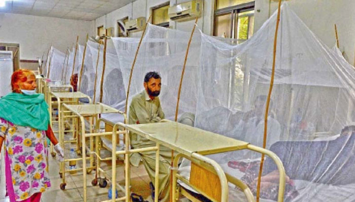 راولپنڈی: مزید 42 افراد میں ڈینگی کی تصدیق، 11 کی حالت تشویشناک راولپنڈی: مزید 42 افراد میں ڈینگی کی تصدیق، 11 کی حالت تشویشناک