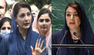 اماراتی وزیر نے مریم نواز کا اسٹائل کاپی کیا؟
