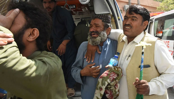 فوٹو بشکریہ سوشل میڈیا