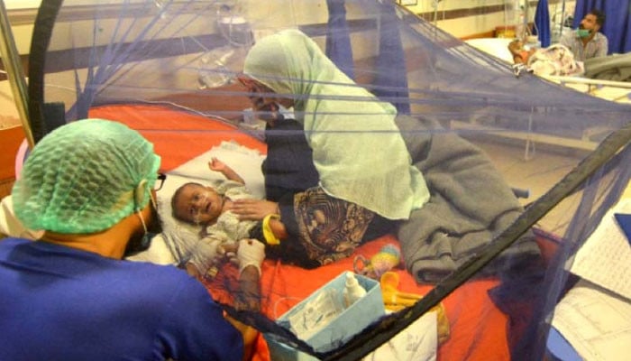 راولپنڈی: مزید 63 افراد میں ڈینگی کی تصدیق، 8 کی حالت تشویشناک