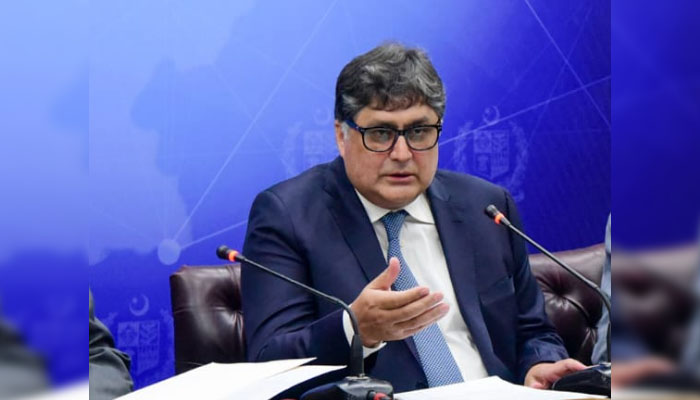 نگراں وزیر تجارت فواد حسن فواد، فائل فوٹو