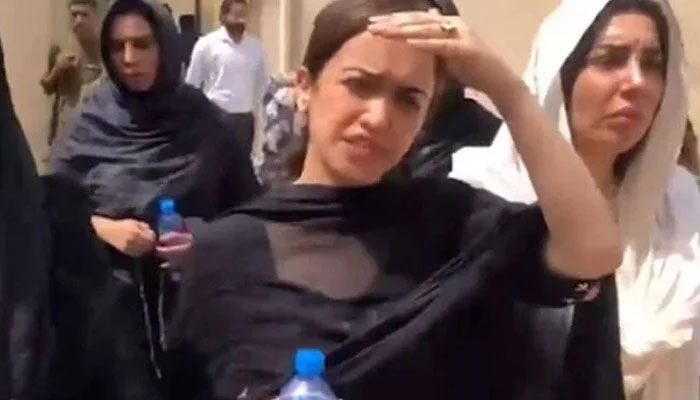 فوٹو: اسکرین گریب