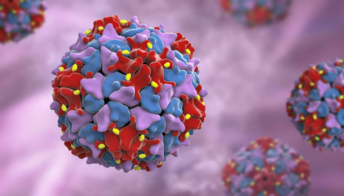 پی ایم اے کا پولیو کے مثبت ماحولیاتی نمونوں میں اضافے پر اظہار تشویش پی ایم اے کا پولیو کے مثبت ماحولیاتی نمونوں میں اضافے پر اظہار تشویش