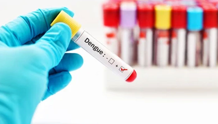 پنجاب: مزید 158 افراد ڈینگی کا شکار پنجاب: مزید 158 افراد ڈینگی کا شکار