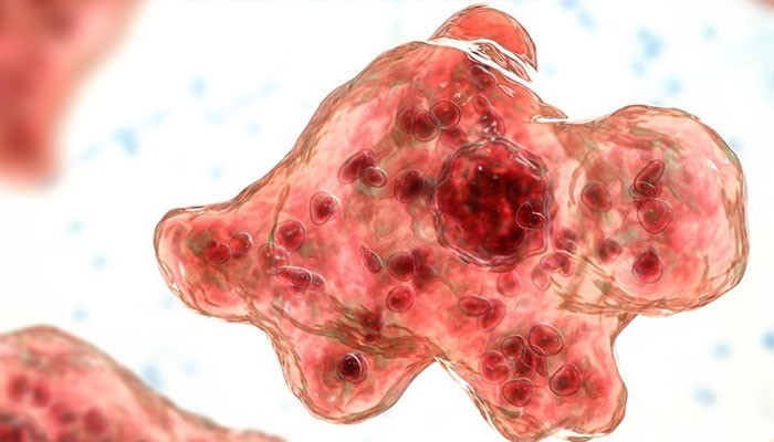 کراچی میں نگلیریا سے ایک اور نوجوان جان کی بازی ہار گیا کراچی میں نگلیریا سے ایک اور نوجوان جان کی بازی ہار گیا