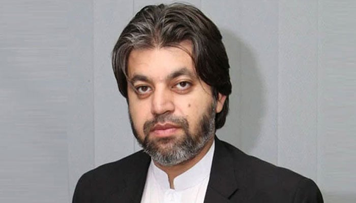 رہنما  پی ٹی آئی علی محمد خان (فائل فوٹو)۔