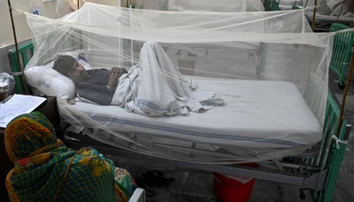 پنجاب: 167 نئے مریضوں میں ڈینگی وائرس کی تصدیق پنجاب: 167 نئے مریضوں میں ڈینگی وائرس کی تصدیق