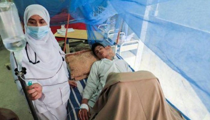 کراچی سے ڈینگی کے 14 نئے کیسز سامنے آ گئے