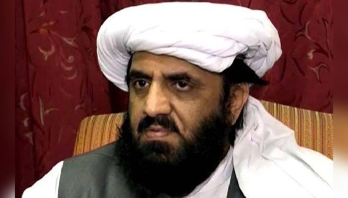 مولانا فضل الرحمان صدر مملکت بھی بن سکتے ہیں، حافظ حمد اللّٰہ