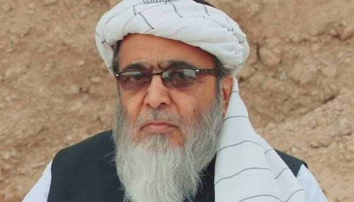 جے یو آئی کے رہنما حافظ حسین احمد، فائل فوٹو