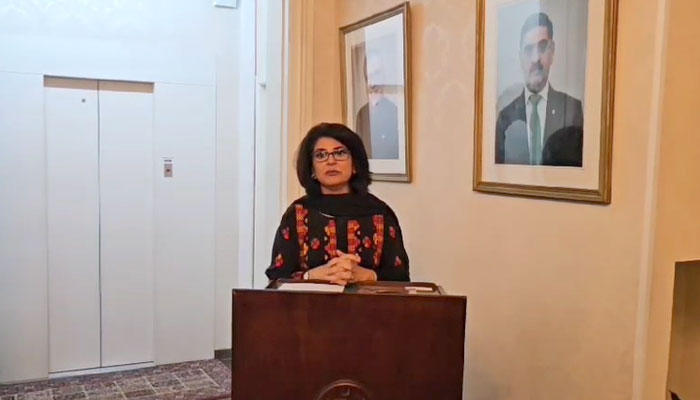 پاکستانی سفیر آمنہ بلوچ سائنس ڈپلومیسی نیٹ ورکنگ ایونٹ سے خطاب کررہی ہیں۔
