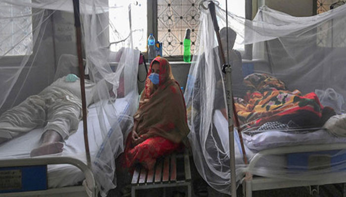 پنجاب: مزید 39 مریضوں میں ڈینگی وائرس کی تصدیق