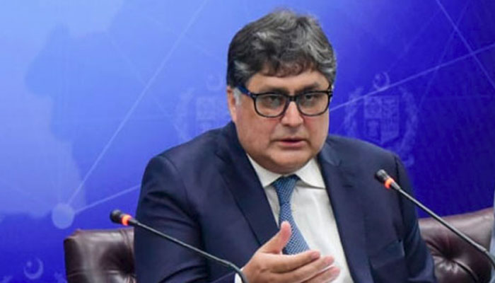 نگراں وفاقی وزیر فواد حسن فواد--- فائل فوٹو