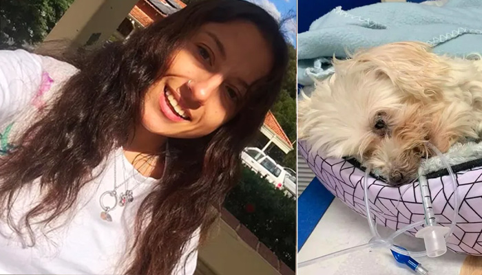 فوٹو بشکریہ غیرملکی میڈیا