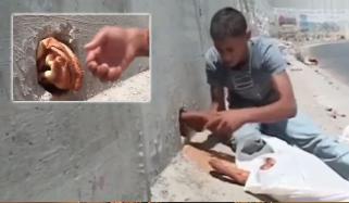 غزہ: مصری نوجوان مظلوموں کی بھوک مٹانے میں مصروف عمل