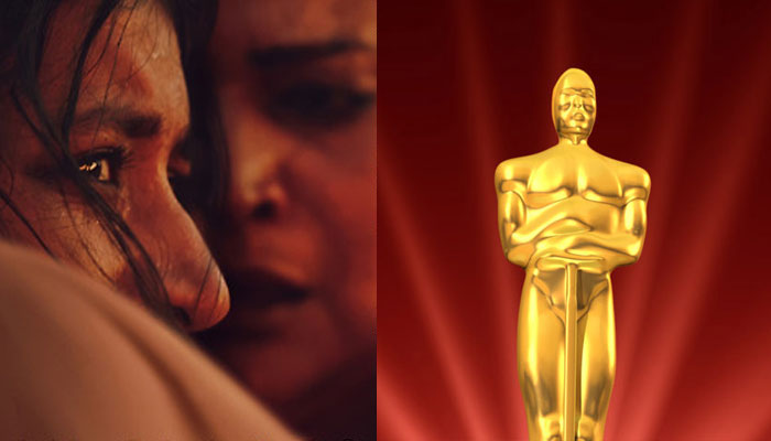 --- فائل فوٹو