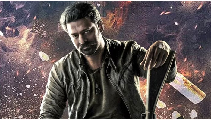 --- فائل فوٹو