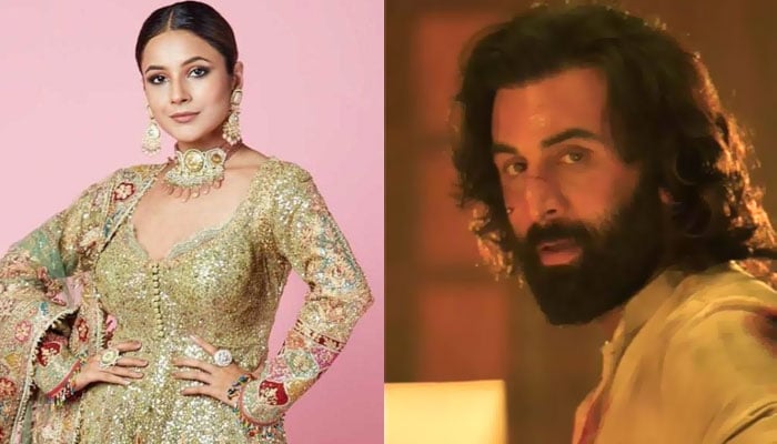 شہناز گل کی رنبیر کپور کے ساتھ فلم میں کام کرنے کی خواہش