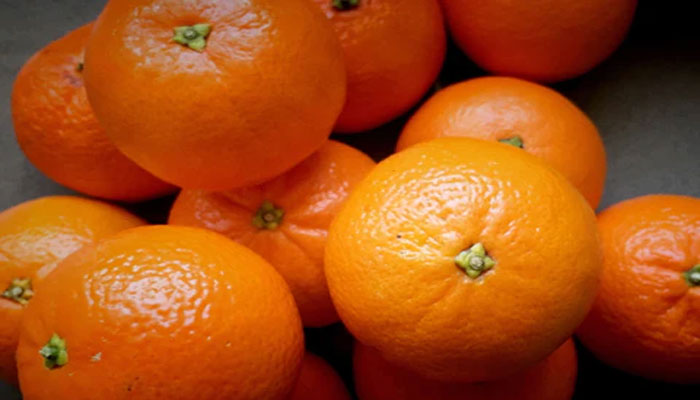 کینو کی ایکسپورٹس 50 فیصد تک کم ہونے کا خدشہ