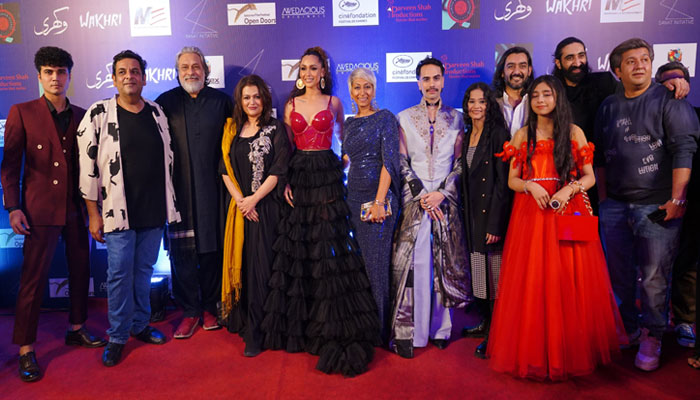 انتظار ختم، فلم ’وکھری‘ پاکستان میں ریلیز کردی گئی