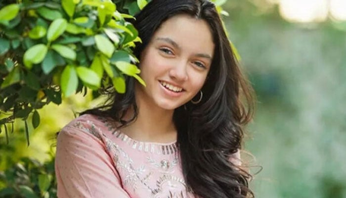 عینا آصف، فائل فوٹو