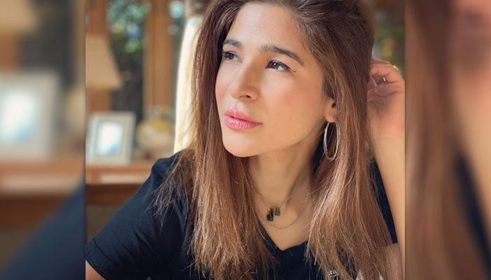 اداکارہ عائشہ عمر، فائل فوٹو