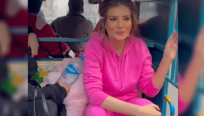 فوٹو، اسکرین گریب