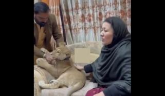 مسلم لیگ ن کی خاتون امیدوار کی شیر کیساتھ ویڈیو وائرل