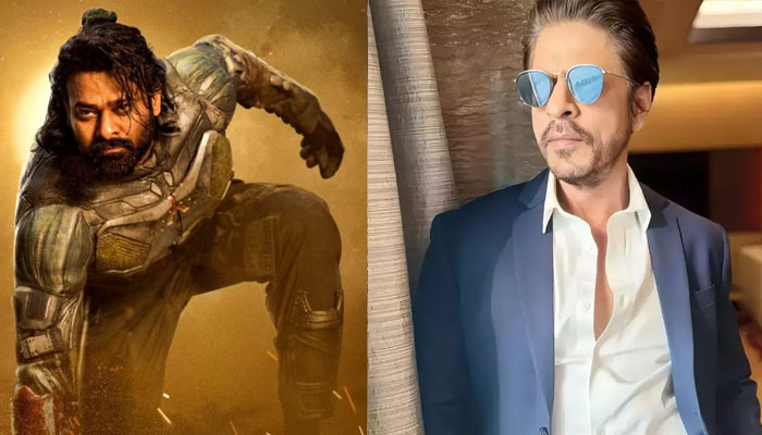 --- فائل فوٹو