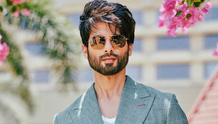 جادوئی چراغ مل جائے تو کیا کریں گے؟ شاہد کپور کا دلچسپ جواب