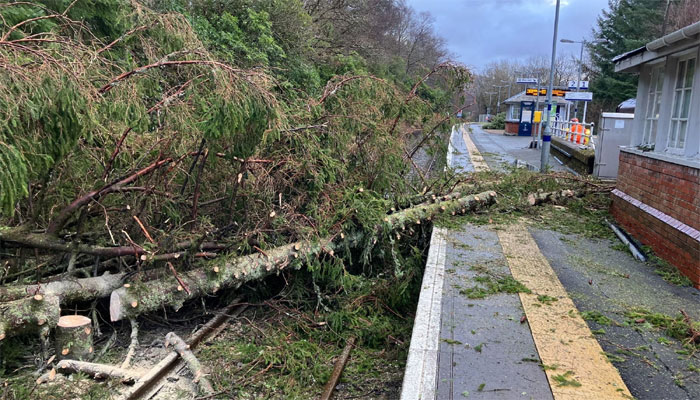 تصویر سوشل میڈیا۔