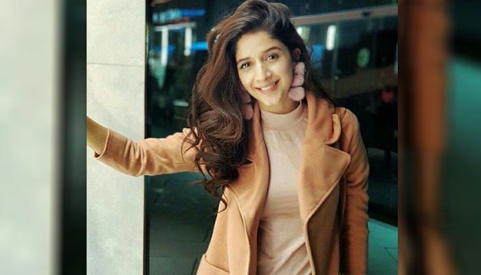 ماورا حسین، فائل فوٹو