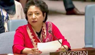 عالمی عدالت انصاف کی رولنگ اسرائیل کی شکست ہے، ملیحہ لودھی 