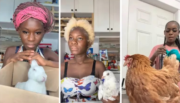 فوٹو بشکریہ غیرملکی میڈیا