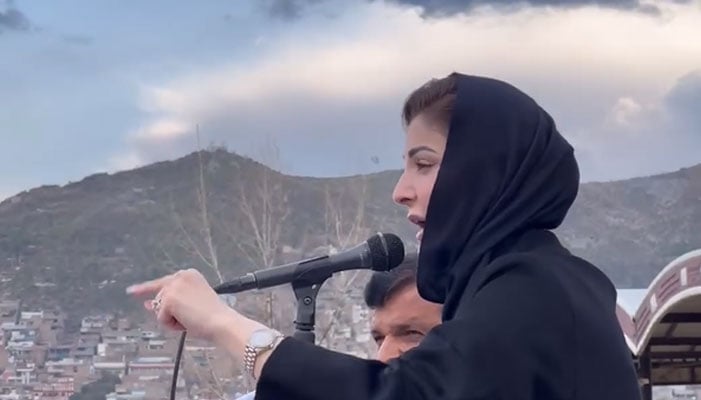 مریم نواز : فوٹو اسکرین گریپ