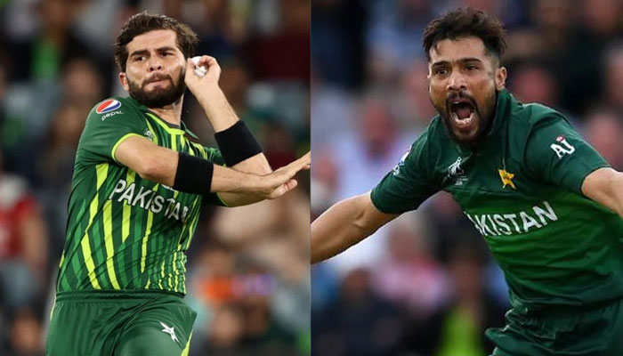 کولاج فوٹو: فائل