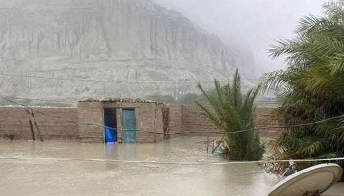 گوادر میں موسلادھار بارش سے بڑے پیمانے پر نقصانات ہوئے ہیں، ڈپٹی کمشنر