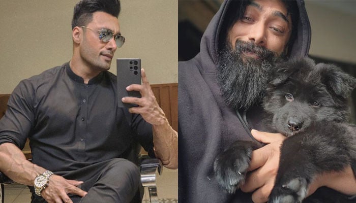 عمیر جیسوال کی نئی لُک مداحوں نے شعیب ملک سے تشبیہ دے دی