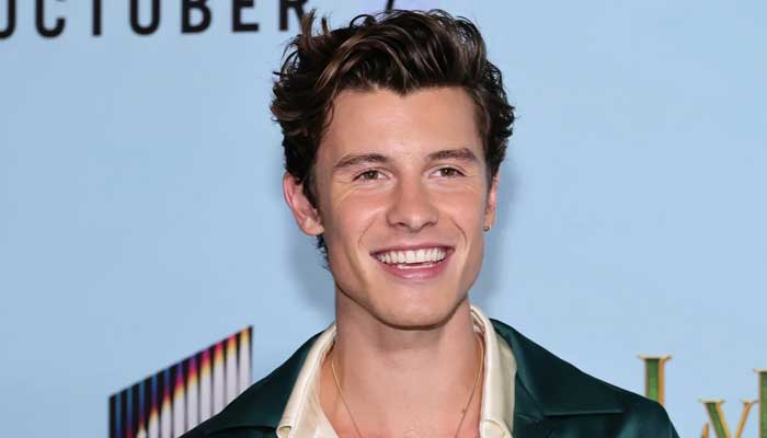 Shawn Mendes sparks reaction with major announcement 