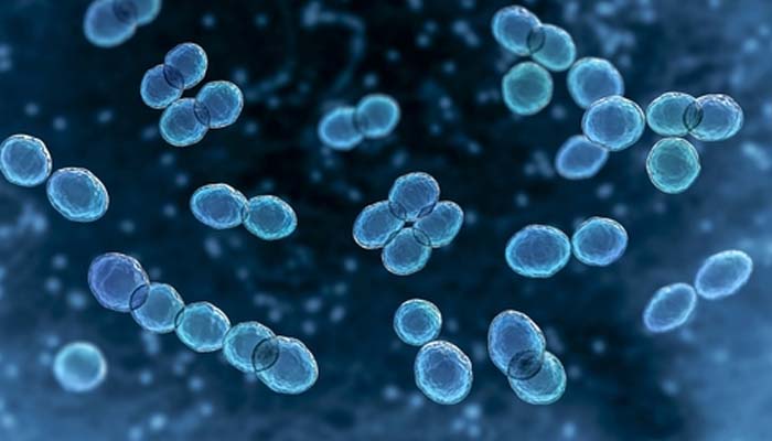 Japan under attack of dangerous bacterial infection