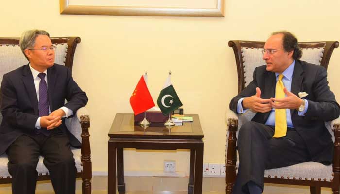 پاکستان اور چین کا معاشی تعلقات کو مزید وسعت دینے پر اتفاق