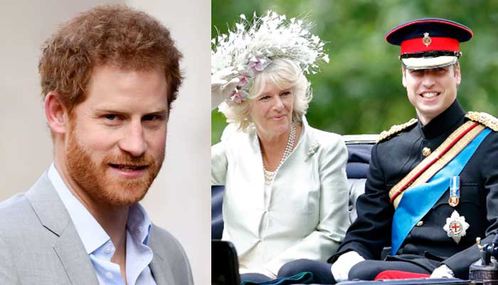 Prince Harry sees ‘betrayal’ in brother Prince William ‘growing bond ...